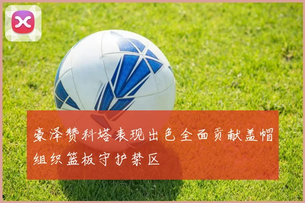 豪泽赞科塔表现出色全面贡献盖帽组织篮板守护禁区